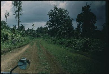 Wewak-Maprik road (2) : Wewak-Maprik, Papua New Guinea,1959 / Terence and Margaret Spencer