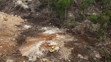 PNG Government promises to shut down illegal logging leases