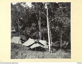 ORO BAY, NEW GUINEA. 1943-07. TENT LINES OF THE OTHER RANKS AT THE 10TH FIELD AMBULANCE
