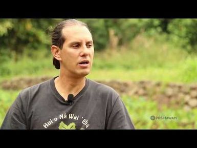 PBS Hawai‘i - HIKI NŌ Episode #913 | Kamehameha Schools Maui Middle - Maui | Taro Farming