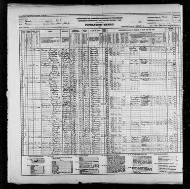 1940 Census Population Schedules - Hawaii - Kauai County - ED 4-18