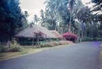 Local house in Tahiti