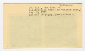 [Meliaceae in New Caledonia, envelope IE41-185]