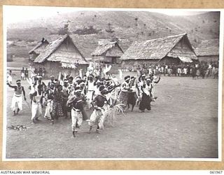 KILA KILA, NEW GUINEA. 1943-12-25. KEREMA BOYS EXECUTING A DANCE AT THE AUSTRALIAN AND NEW GUINEA ADMINISTRATION UNIT NATIVE LABOUR CAMP. THE DANCERS WEAR LONG TRAILS OF GRASS AND FLOWERS, AND ..