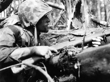 [Marine Taking Cover Behind a Log]