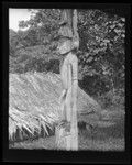 Carved pole in Makira