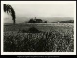 Old Laie Chapel, Hemolele