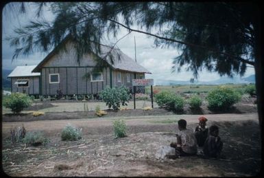 Department of Public Health, Native Hospital, Minj, a basket house : Minj Station, Wahgi Valley, Papua New Guinea, 1954 / Terence and Margaret Spencer
