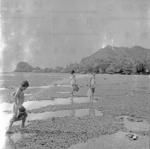 People gathering seafood