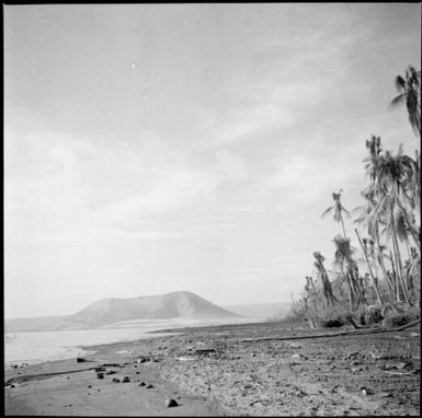 Debris covered beach with damaged palm trees, Rabaul Harbour, New Guinea, 1937 / Sarah Chinnery