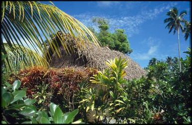 Flax roof, Aitutaki