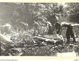 BOUGAINVILLE ISLAND. 1945-02-02. PIONEERS OF THE 9TH INFANTRY BATTALION SPLITTING A LARGE LOG DURING THE BUILDING OF A NEW CORDUROY SECTION OF THE ROAD THROUGH THE JUNGLE. IDENTIFIED PERSONNEL ..