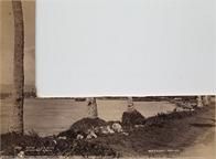 2619 Apia-Samoa (large portion of image cut out)