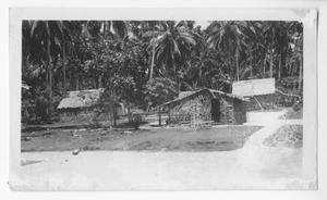 [Huts in Bougainville]
