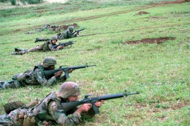 Members of Co. B, 4th Bn., 27th Inf., 25th Inf. Div. (Light) practice shooting their M-16A1 rifles from prone position as they train for deployment to the Middle East to take part in Operation Desert Storm. The rifle of the soldier in the center is equipped with an M-203 grenade launcher