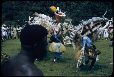 Finchafen [i.e. Finschhafen] natives performing a dance, between 1955 and 1960 / Tom Meigan