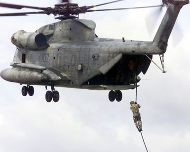 USMC personnel assigned to the 1ST Battalion, 3rd Marines fast rope from a hovering USMC CH-53 Sea Stallion helicopter at Marine Corps Base Hawaii (MCBH)