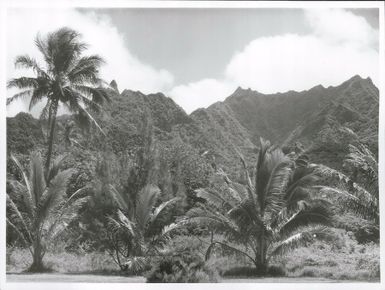 Pacific Islands - Cook Island - Rarotonga - Scenics