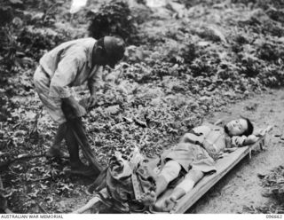 BONIS PENINSULA, BOUGAINVILLE. 1945-09-16. A MEMBER OF THE JAPANESE NAVY READY FOR EVACUATION BY AMBULANCE BARGE TO 17 FIELD AMBULANCE, SORAKEN. HE IS SUFFERING FROM MALNUTRITION. MEDICAL ATTENTION ..