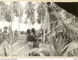 New Guinea natives engaged in building a new Salvation Army- Australian Comfort FundUhut at 5th Division Headquarters