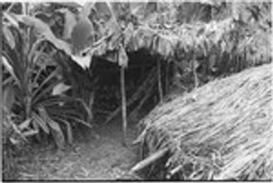 Pig festival, pig sacrifice, Tsembaga: small structure in men's house compound behind ritual fence