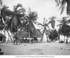 Native town hall on Rongerik Island, 1947