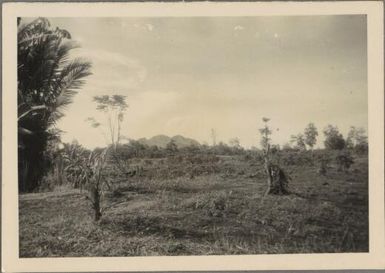 [Devastated areas from Mt Lamington eruption, 1951], 2 / Albert Speer