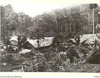 BASU RIVER VALLEY, NEW GUINEA. 1944-05-14. A CHINESE VILLAGE APPROXIMATELY 7 MILES FROM LAE ESTABLISHED BY FAMILIES FROM THE AREA WHO CLEARED THE VIRGIN JUNGLE. THE FARMS TAKEN FROM THE SETTLERS BY ..