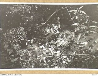 GOODVIEW, NEW GUINEA, 1943-08-10. SENIOR OFFICERS ON THE TRACK TO DRAKES OBSERVATION POST. SHOWN ARE:- SX2889 BRIGADIER M. J. MOTEN CBE DSO ED, COMMANDING, 17TH AUSTRALIAN INFANTRY BRIGADE (LEFT); ..