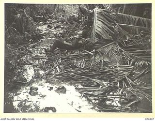 WEBER POINT, MALALAMAI, NEW GUINEA, 1944-02-09. PRIVATE W. HANNAFORD "B" COMPANY, 30TH INFANTRY BATTALION, RESTING ON PALM FRONDS ON A SWAMPY TRACK ON THE WAY TO YAGOMAI TO LINK WITH AMERICAN ..
