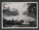 Hot mudflow from Mount Lamington eruption passing Double Crossing, Ambogo River, Papua New Guinea, 1951