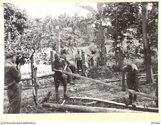 TUNNEL HILL ROAD, RABAUL, NEW BRITAIN. 1945-09-27. STAFF SERGEANT R. THAIN, MILITARY HISTORY SECTION CAMERAMAN TAKING MOVIES OF JAPANESE LABOUR. THESE FORMER ENEMY TROOPS ARE BUILDING LIVING ..