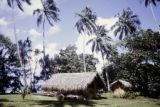 French Polynesia, thatched-roofed home on Tahiti Island