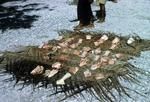 A captured sharks cut in pieces and laid out in inati shares: 10.1.68
