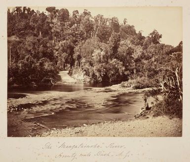 The Mangatainoko River, Seventy Mile Bush, N.Z. From the album: Views of New Zealand Scenery/Views of England, N. America, Hawaii and N.Z.
