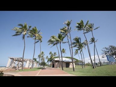 How Coconuts are Helping Humanity Flourish