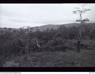 WAREO, NEW GUINEA. 1943-12-10. VX42910 CORPORAL E. STUART OF I SECTION 2/23RD AUSTRALIAN INFANTRY BATTALION KEEPING A CHECK ON ENEMY MOVEMENTS FROM A CAPTURED JAPANESE OBSERVATION POST. (TO JOIN-UP ..