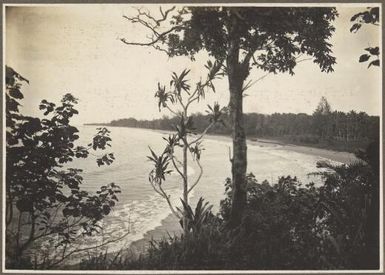 [View of the beach], scene at Ambasi, North Coast, [Papua New Guinea]