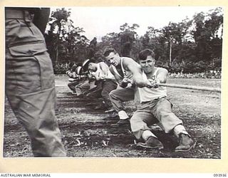 TOROKINA, BOUGAINVILLE, 1945-07-15. THE 31/51 INFANTRY BATTALION TEAM, WINNERS OF THE TUG OF WAR, AT THE COMBINED ALLIED SPORTS CHAMPIONSHIP MEETING AT GLOUCESTER OVAL ARRANGED BY AUSTRALIAN ARMY ..