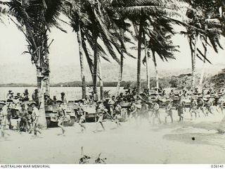 NEW GUINEA, 1942-08. AN INFANTRY PATROL PASSING THROUGH A COCONUT GROVE DURING MANOEUVRES OF THE AUSTRALIAN MILITARY FORCES IN NEW GUINEA. CARRIERS OF THE 39TH INFANTRY BATTALION, A.M.F. ARE LINED ..