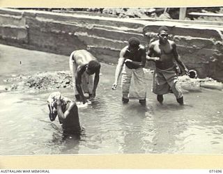 LAE, NEW GUINEA. 1944-03-25. NATIVE BOYS BATHING IN THE NEW BATHS BEING ERECTED AT THE NATIVE COMPOUND AT AUSTRALIAN NEW GUINEA ADMINISTRATIVE UNIT ATTACHED TO HEADQUARTERS LAE BASE SUB-AREA