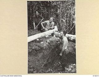 1943-08-30. NEW GUINEA. CONSTRUCTING A GUN EMPLACEMENT IN THE GOODVIEW JUNCTION AREA DURING THE ALLIED ADVANCE THOUGH THE MOUNTAINS TO SALAMAUA. LEFT TO RIGHT: PTE. J.W. SUTHERLAND, OF SWAN HILL, ..