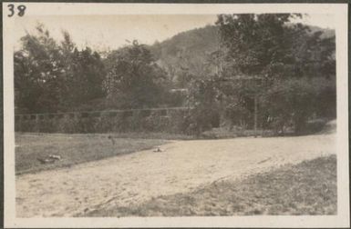 View of a road in the Botanical Gardens, Rabaul, New Britain Island, Papua New Guinea, approximately 1916