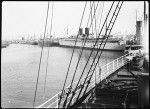 Several passenger ships moored in Los Angeles Harbor, September 5, 1931
