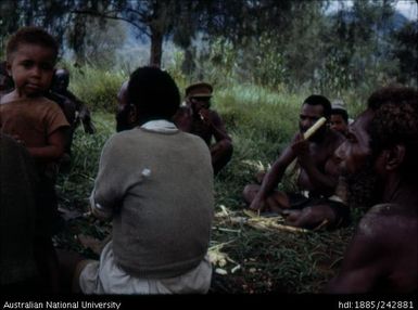 People eating cane