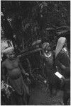 Pig festival, pig sacrifice, Tsembaga: behind ritual fence, Tsembaga prepare to distribute pork to allies