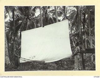 KALAI PLANTATION, HENRY REID BAY, NEW BRITAIN. 1945-02-17. NX173054 SERGEANT R.E. GEORGE (1) AND VX122340 DRIVER DANN (2) 82ND MOBILE CINEMA, ERECTING THE CINEMA SCREEN AMONG THE PALMS IN THE ..