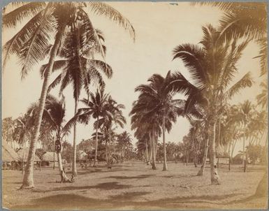 Village in Samoa