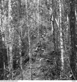 PAPUA, NEW GUINEA. 1942-10. STEEP STEPS THROUGH JUNGLE LEADING TO NAURO