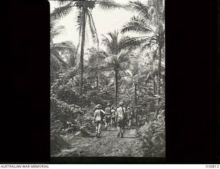 LOS NEGROS ISLAND, ADMIRALTY ISLANDS. 1944-03-18. GUARDS ON PATROL WALK ALONG OVERGROWN TRACKS NEAR MOMOTE AIRFIELD. RAAF KITTYHAWK AIRCRAFT WERE OPERATING FROM THE STRIP ONLY FOUR DAYS AFTER THE ..